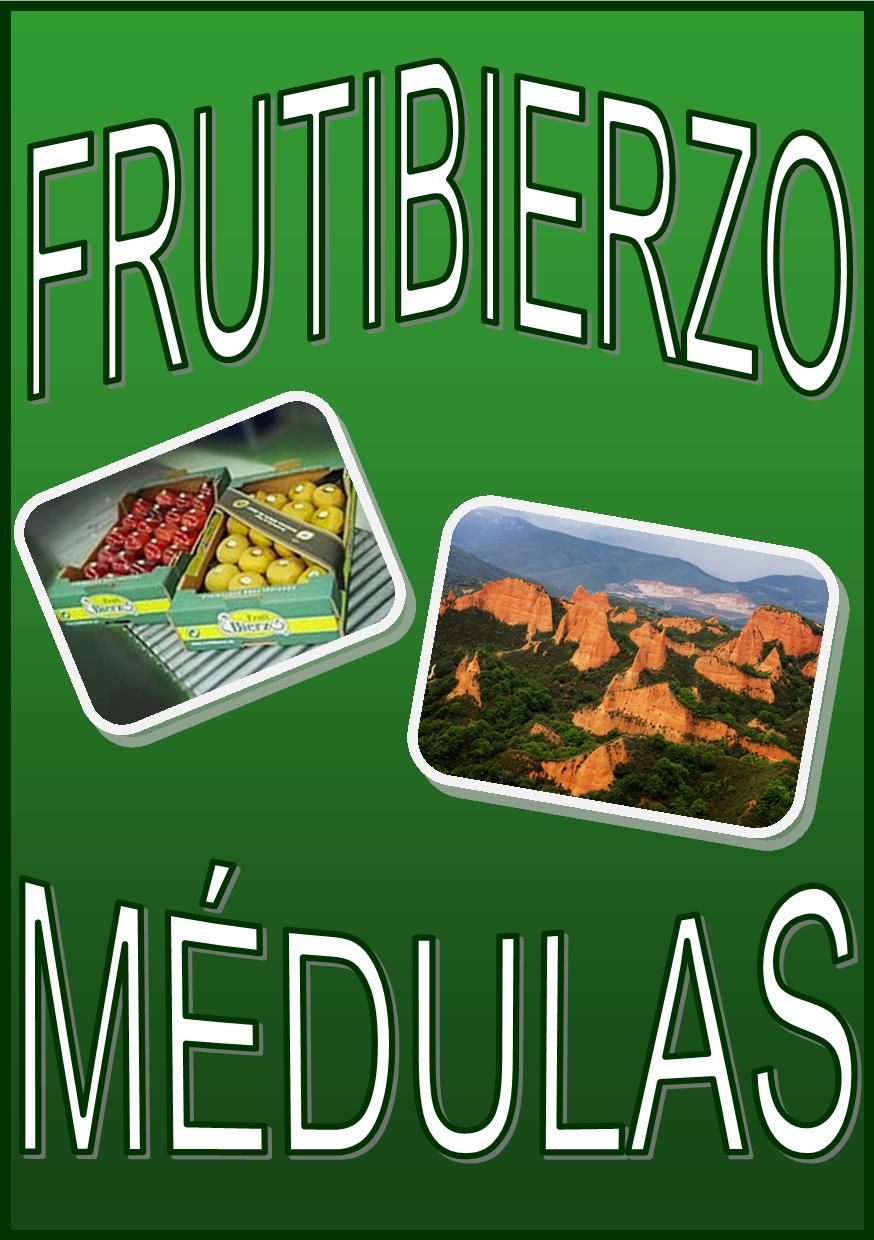 FrutiBierzo